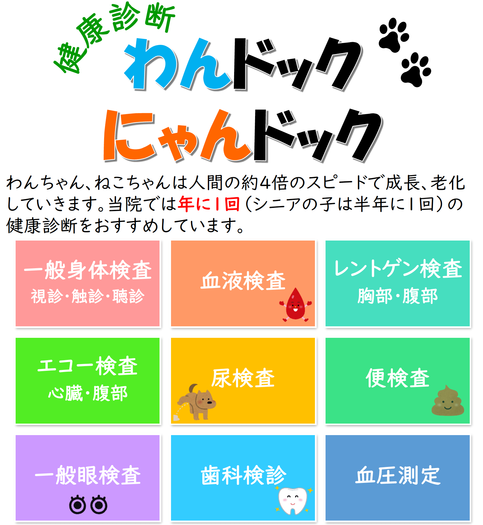 わんにゃんドック | お知らせ | 福井藤島どうぶつ病院 | 福井県福井市